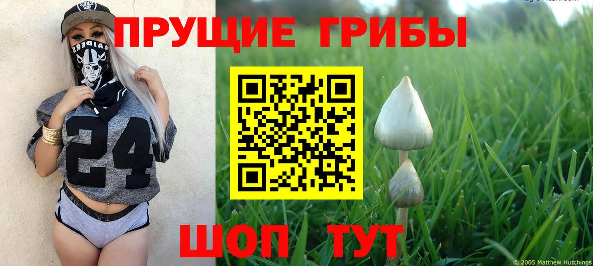 Ногинск  Галлюциногенные грибы Cubensis  Вход с VPN  Галлюциногенные грибы GOLDEN TEACHER 